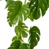 Intratuin kunsthangplant Monstera H 50 cm