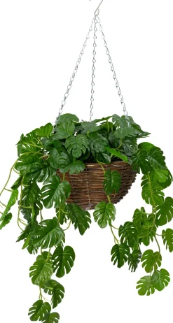 Intratuin kunsthangplant Monstera H 50 cm