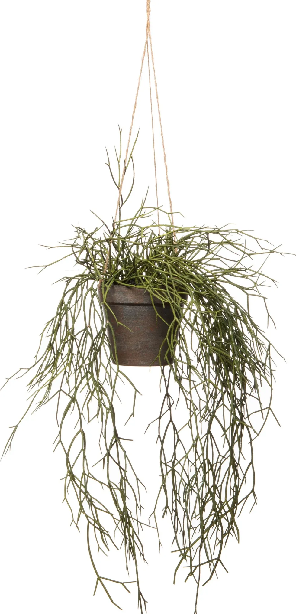Intratuin kunsthangplant Rhipsalis H 55 cm