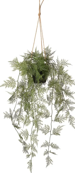 Intratuin kunsthangplant Sierasperge H 86 cm