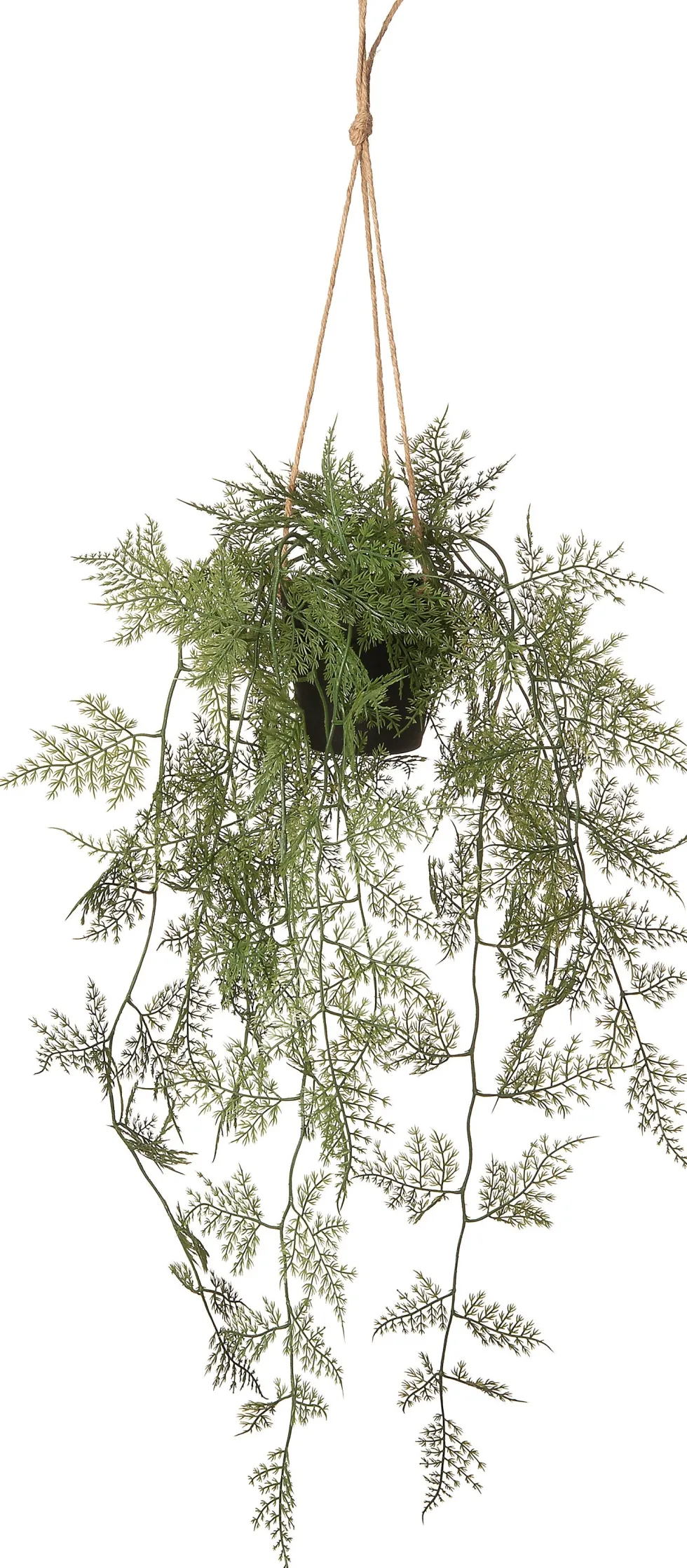 Intratuin kunsthangplant Sierasperge H 86 cm