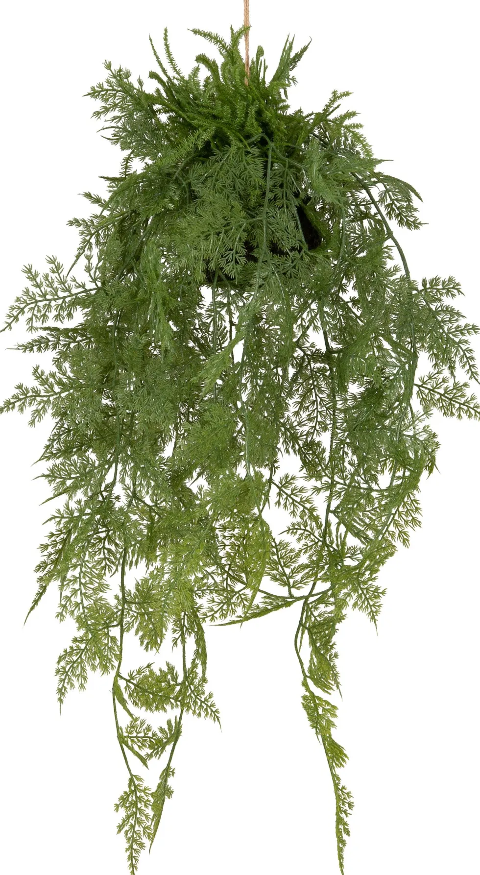 Intratuin kunsthangplant Sierasperge H 61 cm