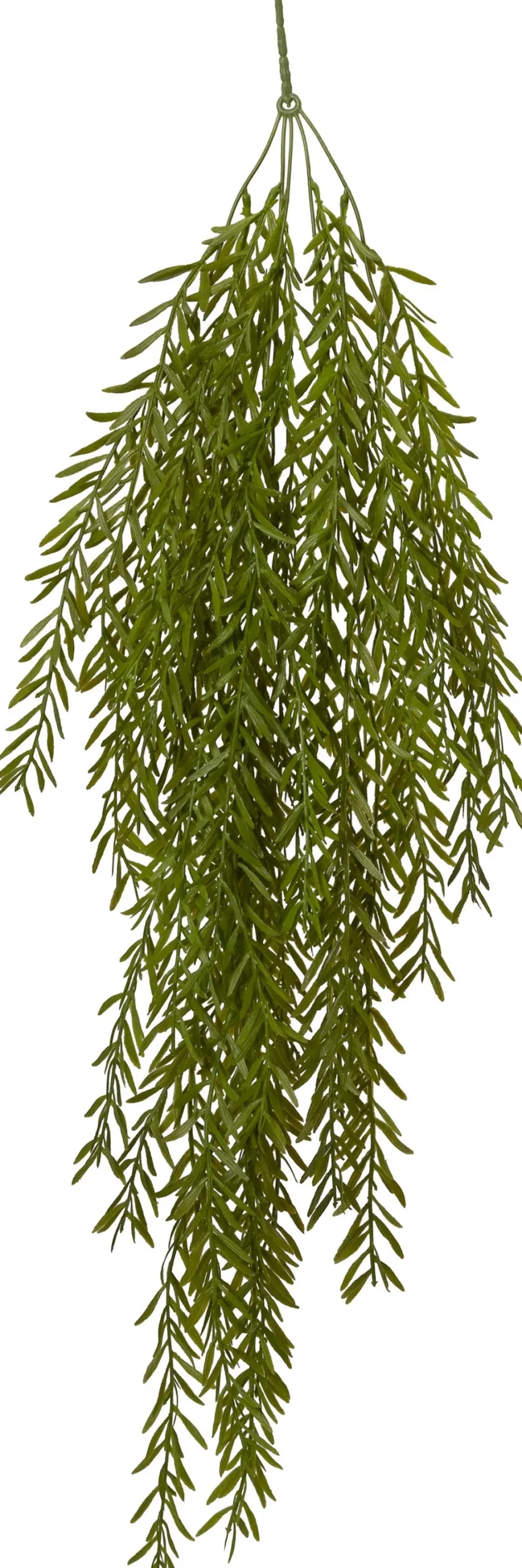 Intratuin kunsthangplant Sierasperge H 93 cm