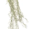 Intratuin kunsthangplant Tillandsia grijs H 74 cm