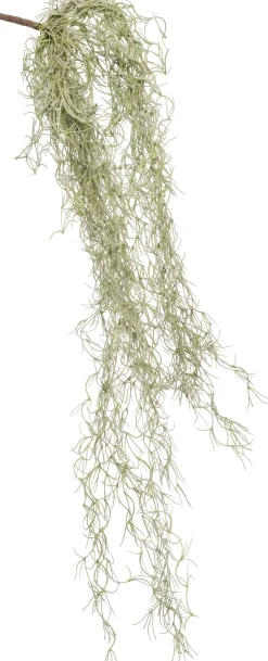 Intratuin kunsthangplant Tillandsia grijs H 74 cm