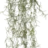 Intratuin kunsthangplant Tillandsia H 90 cm