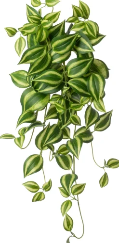 Intratuin kunsthangplant Vaderplant groen / geel H 60 cm