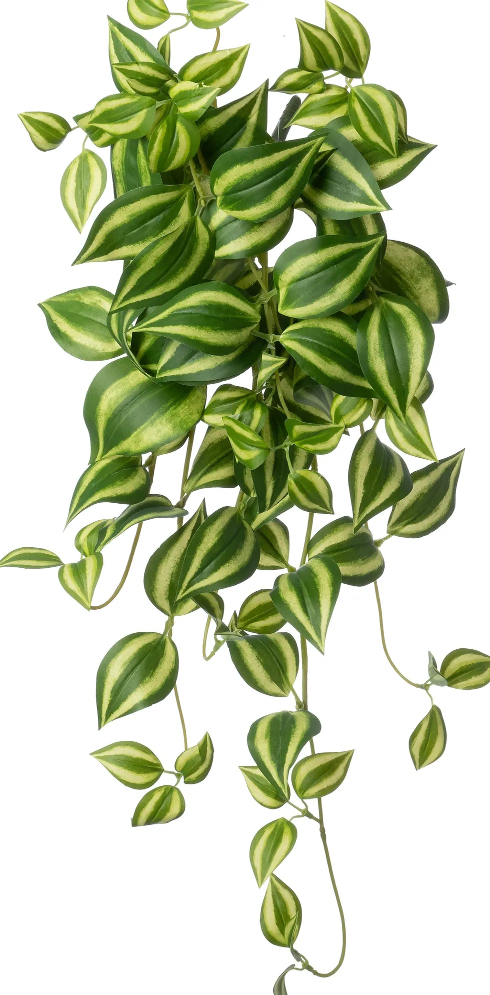 Intratuin kunsthangplant Vaderplant groen / geel H 60 cm