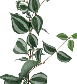 Intratuin kunsthangplant Vaderplant H 170 cm