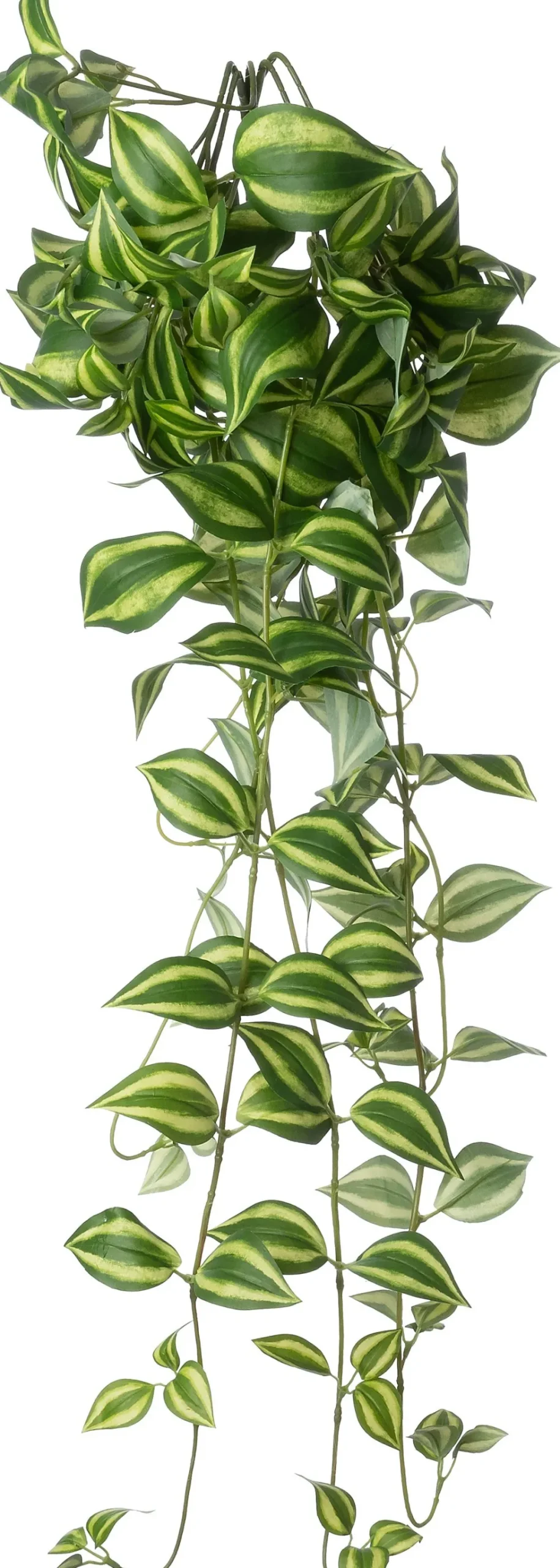 Intratuin kunsthangplant Vaderplant groen / geel H 100 cm