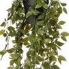 Intratuin kunsthangplant Vaderplant H 96,5 cm