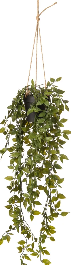 Intratuin kunsthangplant Vaderplant H 96,5 cm