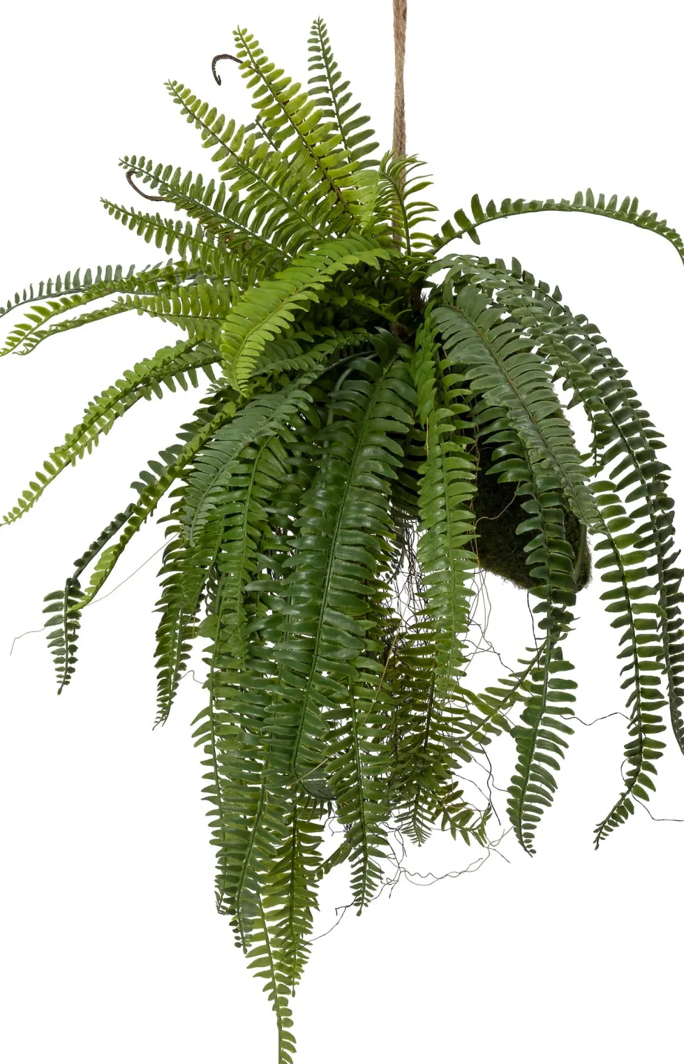 Intratuin kunsthangplant Varen H 80 cm