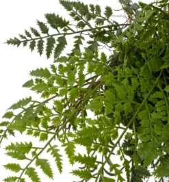 Intratuin kunsthangplant Varen H 70 cm