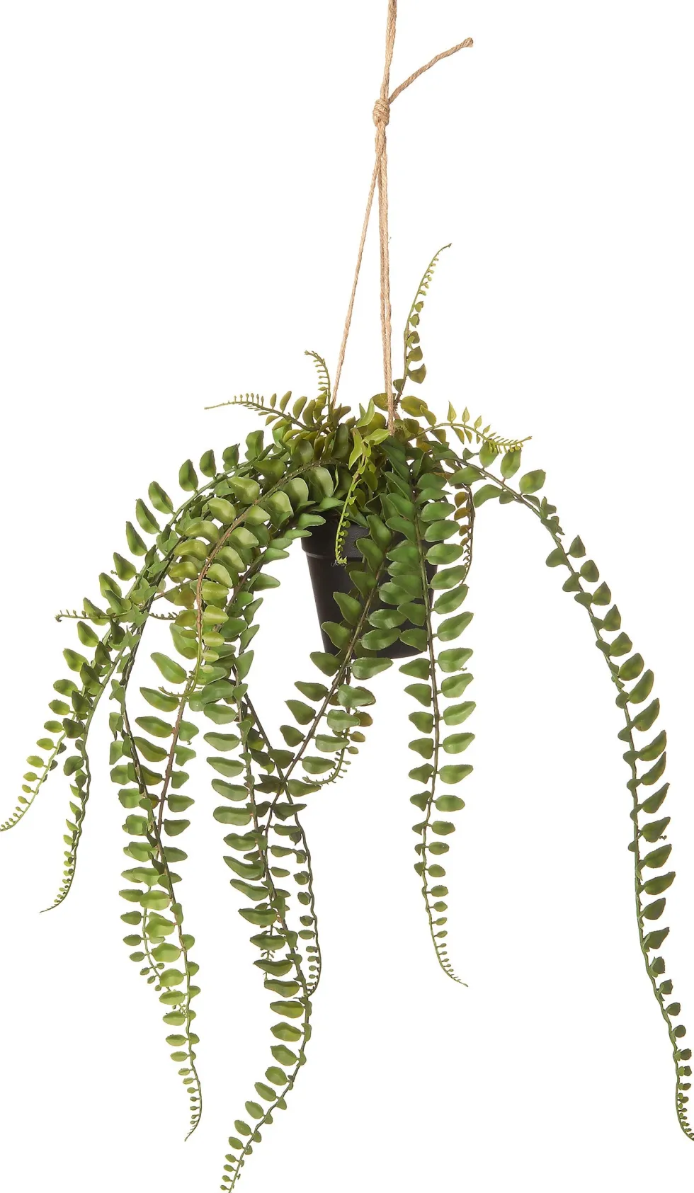 Intratuin kunsthangplant Varen H 78 cm