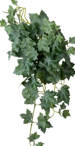Intratuin kunsthangplant Widle wingerd H 60 cm