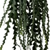 Intratuin kunsthangplant Zaagcactus H 104 cm