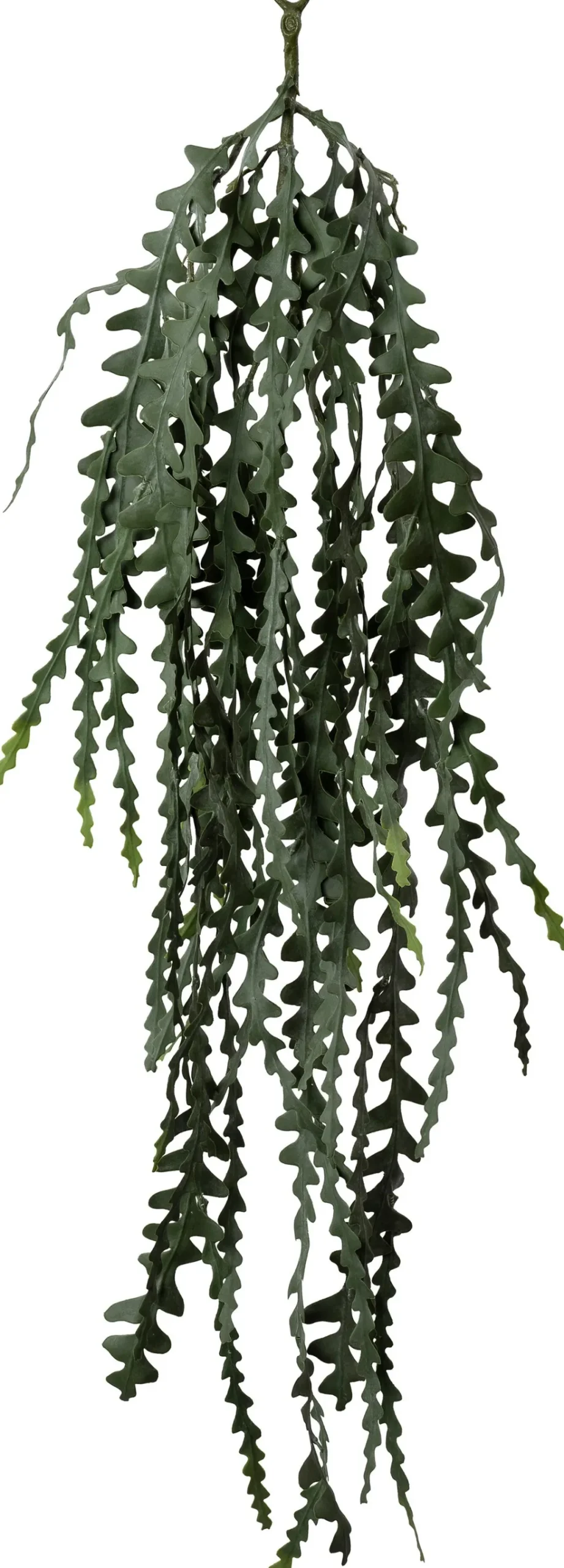 Intratuin kunsthangplant Zaagcactus grijsgroen H 104 cm