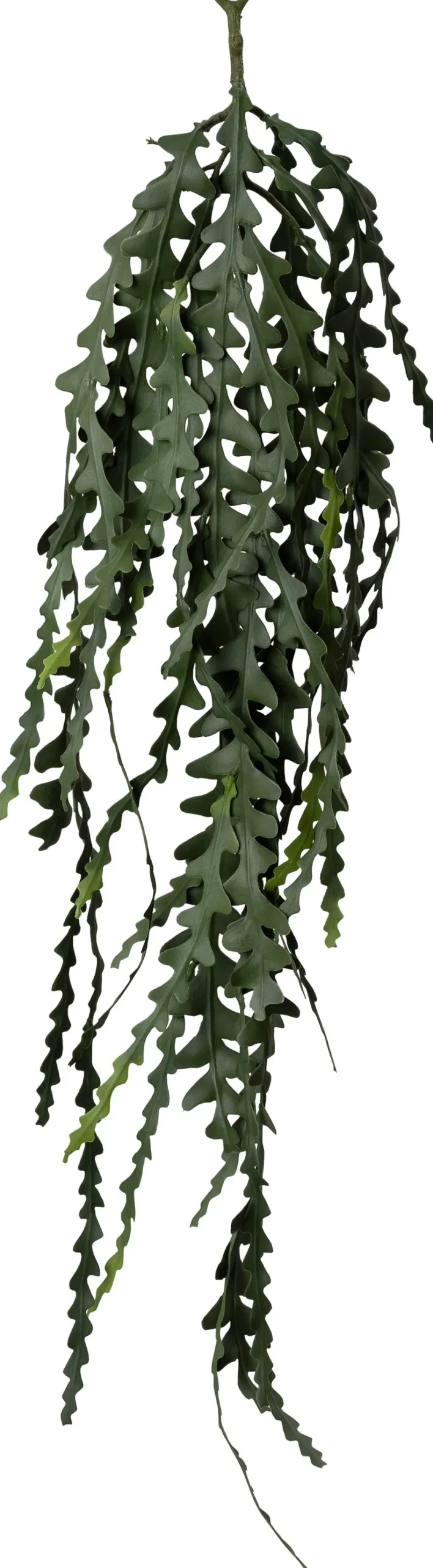 Intratuin kunsthangplant Zaagcactus H 91 cm
