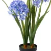 Intratuin kunstplant Afrikaanse Lelie paars D 15,5 H 60 cm