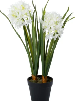 Intratuin kunstplant Afrikaanse Lelie wit D 15,5 H 60 cm