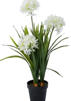 Intratuin kunstplant Afrikaanse Lelie wit D 17 H 82 cm