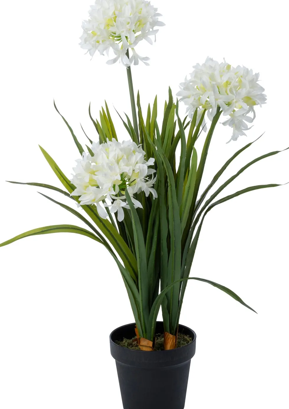 Intratuin kunstplant Afrikaanse Lelie wit D 17 H 82 cm