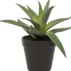 Intratuin kunstplant Aloe vera D 11 H 20,3 cm