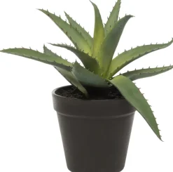 Intratuin kunstplant Aloe vera D 11 H 20,3 cm
