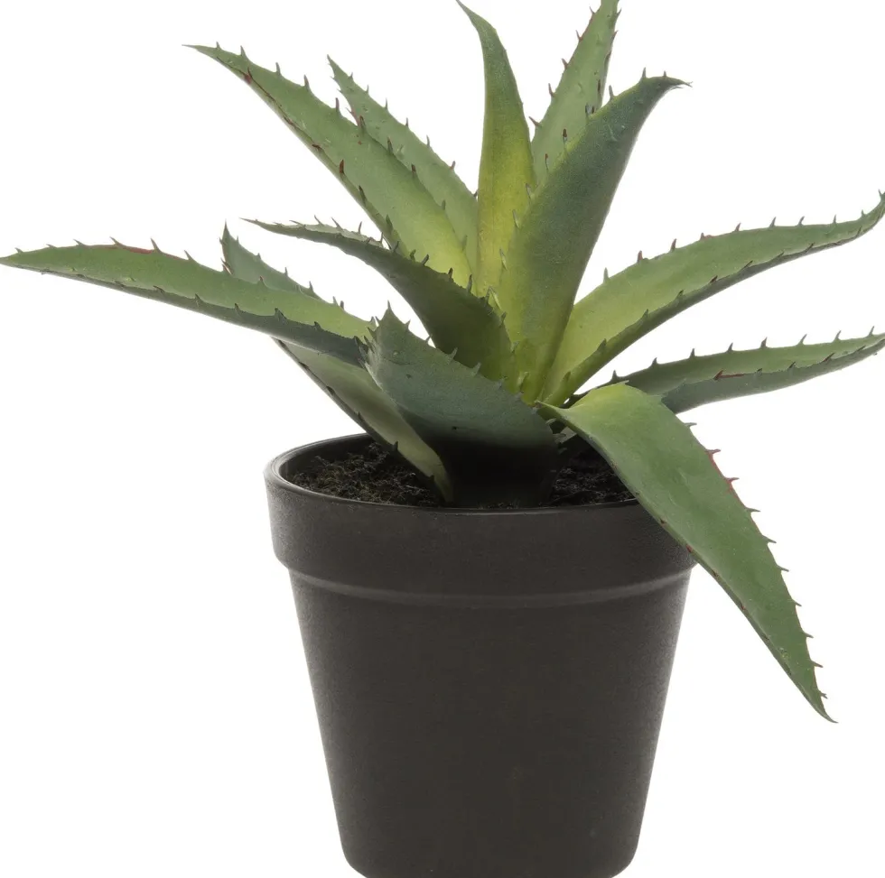 Intratuin kunstplant Aloe vera D 11 H 20,3 cm