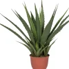 Intratuin kunstplant Aloe vera H 107 cm