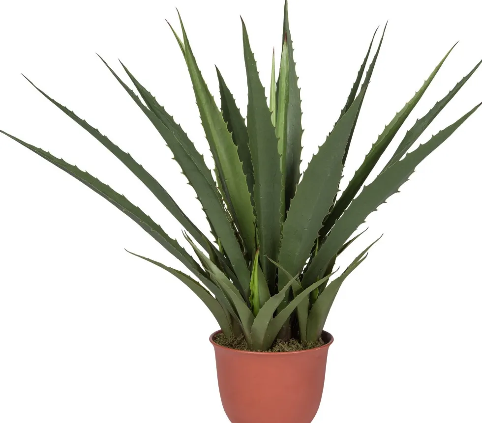 Intratuin kunstplant Aloe vera H 107 cm