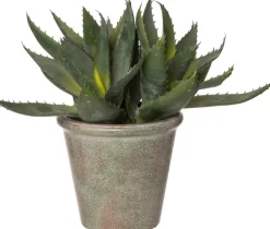 Intratuin kunstplant Aloë geel H 35,5 cm
