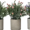 Intratuin kunstplant Aster roze D 7,5 H 22 cm