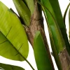 Intratuin kunstplant Banaan D 20,4 H 180 cm
