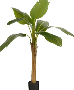Intratuin kunstplant Banaan H 155 cm
