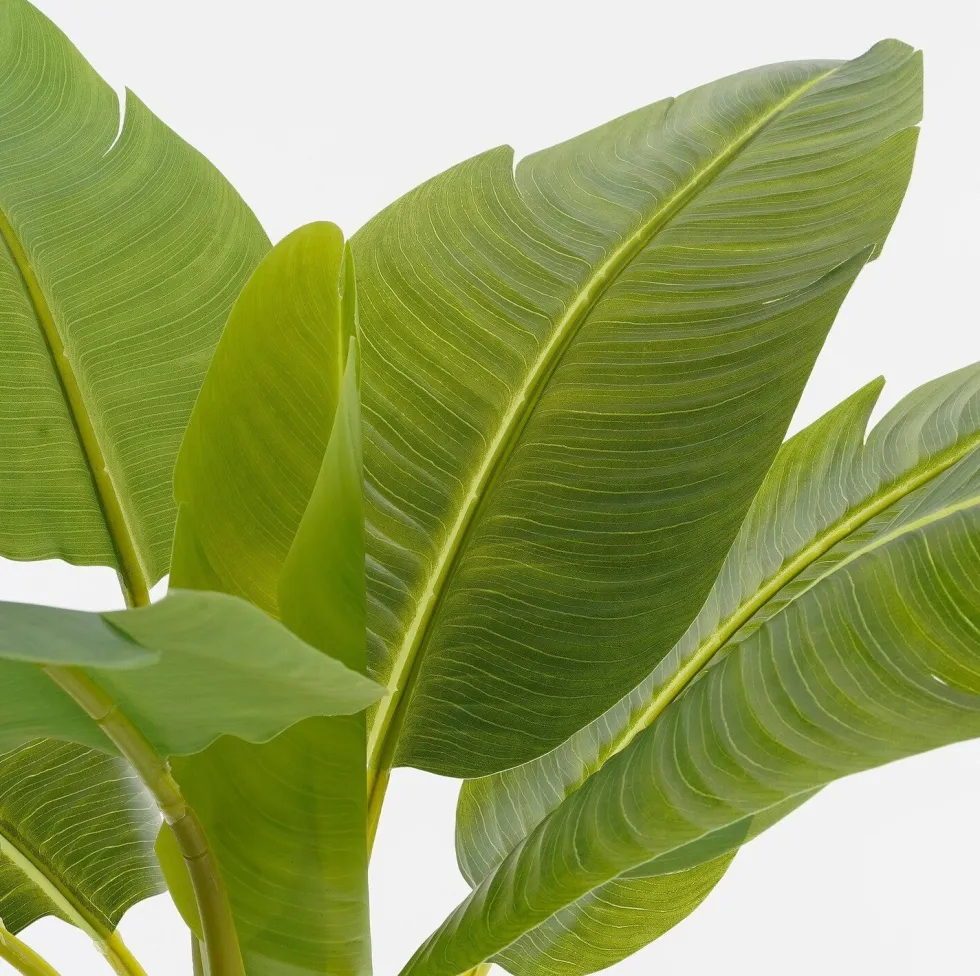 Intratuin kunstplant Banaan H 120 cm