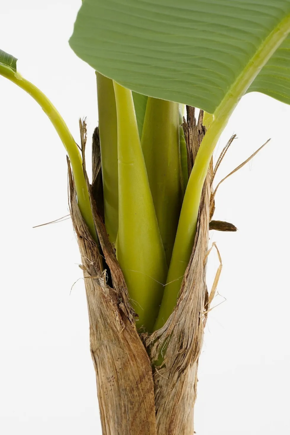 Intratuin kunstplant Banaan H 120 cm