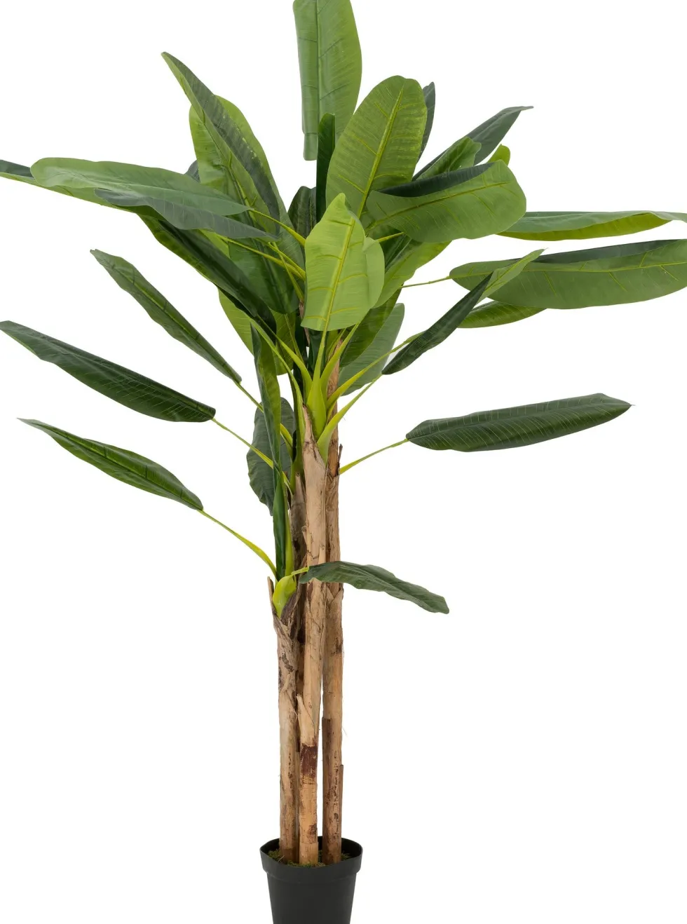 Intratuin kunstplant Banaan H 240 cm