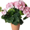 Intratuin kunstplant Begonia roze H 35 cm