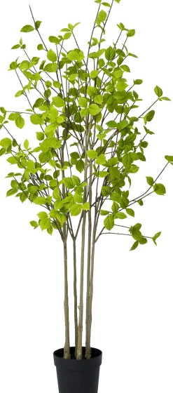 Intratuin kunstplant Beuk D 23 H 180 cm