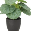 Intratuin kunstplant Bladbegonia groen / grijs D 7 H 16 cm