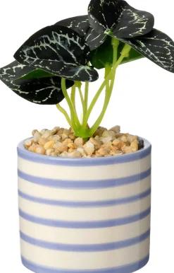 Intratuin kunstplant Bladbegonia paars D 7,5 H 13 cm