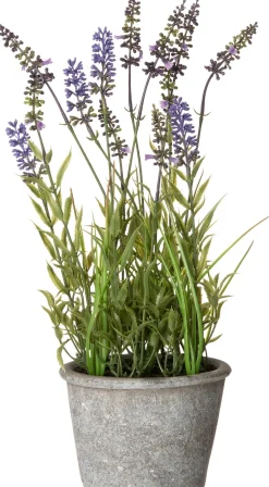Intratuin kunstplant Blauw druifje in pot D 15 H 41 cm