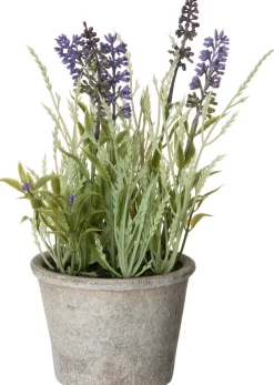Intratuin kunstplant Blauw druifje blauw H 25 cm