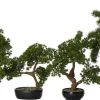 Intratuin kunstplant Bonsai den D H 72 cm
