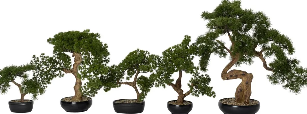 Intratuin kunstplant Bonsai den H 52 cm