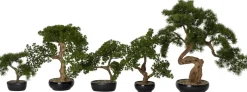 Intratuin kunstplant Bonsai den H 45 cm