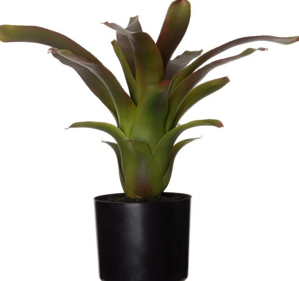 Intratuin kunstplant Bromelia H 40 cm