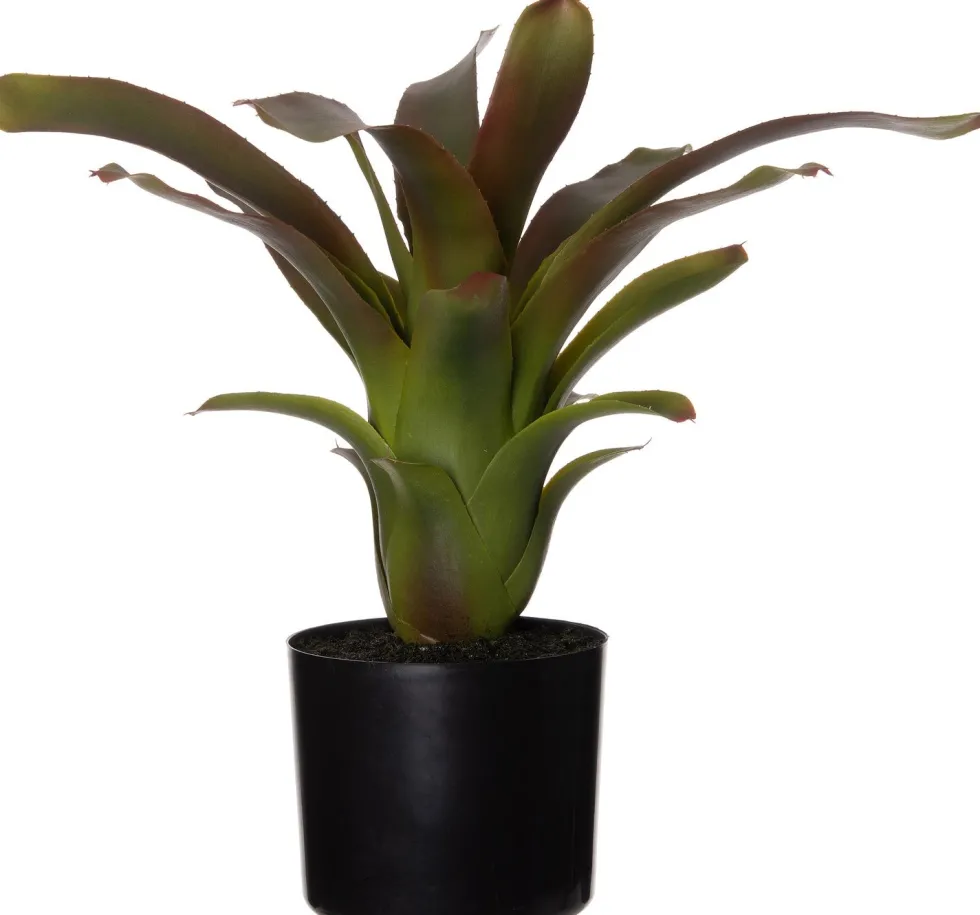 Intratuin kunstplant Bromelia H 46 cm